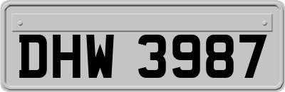 DHW3987