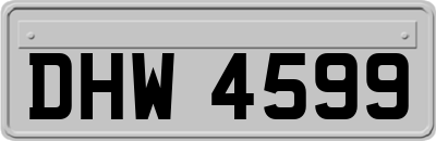 DHW4599