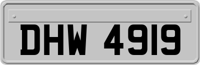 DHW4919