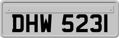 DHW5231