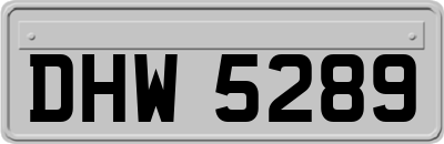 DHW5289