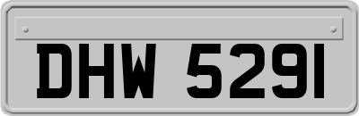 DHW5291