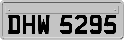 DHW5295