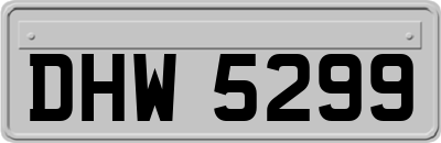 DHW5299