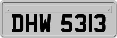 DHW5313