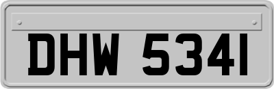 DHW5341