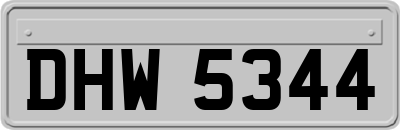 DHW5344