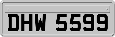 DHW5599