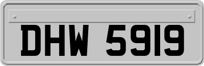 DHW5919