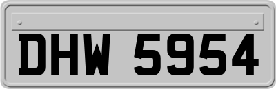 DHW5954