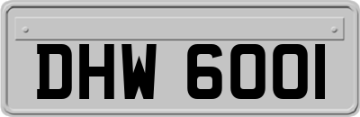 DHW6001