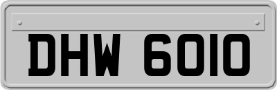 DHW6010
