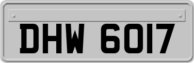 DHW6017