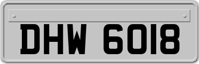 DHW6018