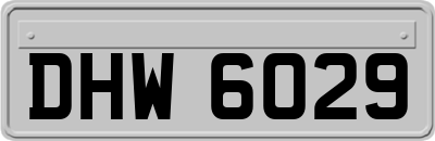 DHW6029