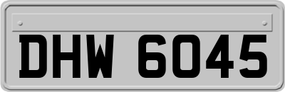 DHW6045