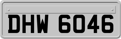 DHW6046