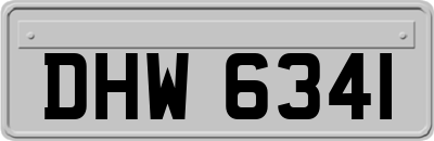DHW6341