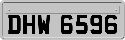 DHW6596
