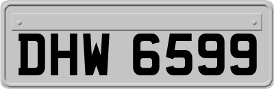 DHW6599