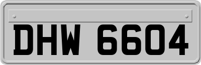 DHW6604