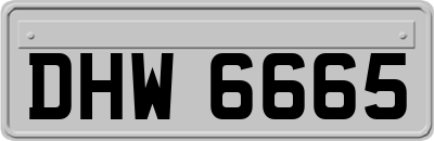 DHW6665