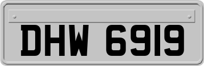 DHW6919