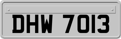 DHW7013