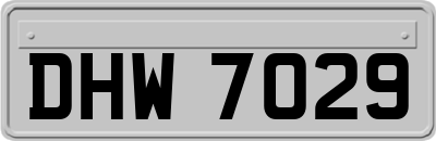 DHW7029
