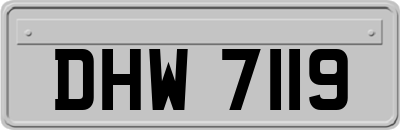 DHW7119