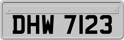 DHW7123