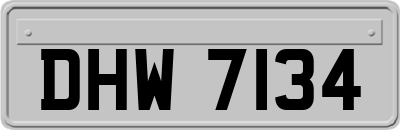DHW7134