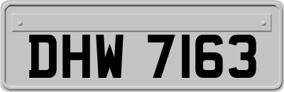 DHW7163