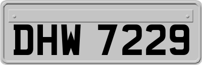 DHW7229