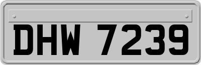 DHW7239