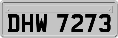 DHW7273