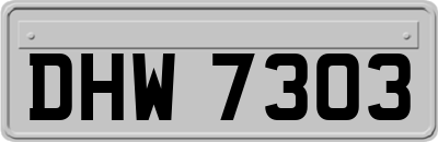 DHW7303