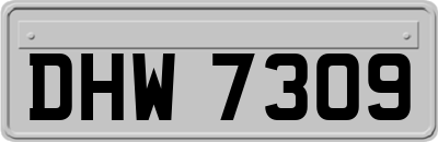 DHW7309