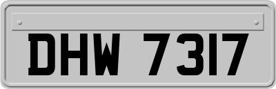 DHW7317