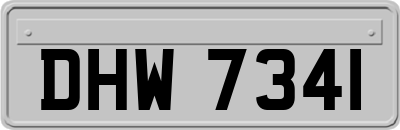 DHW7341