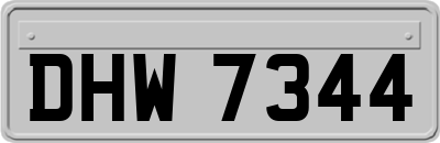 DHW7344