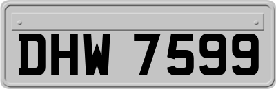 DHW7599