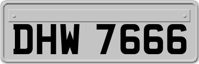 DHW7666