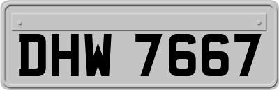 DHW7667
