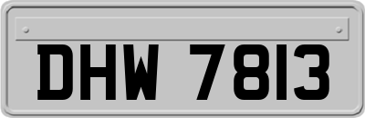 DHW7813