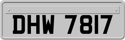 DHW7817