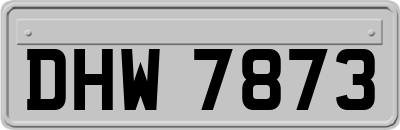 DHW7873