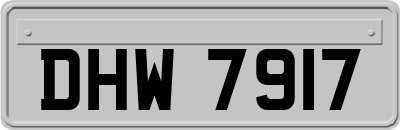 DHW7917