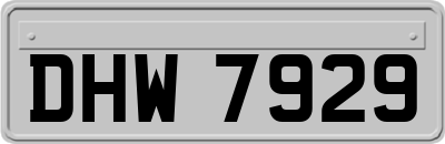 DHW7929