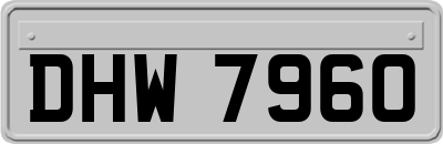 DHW7960